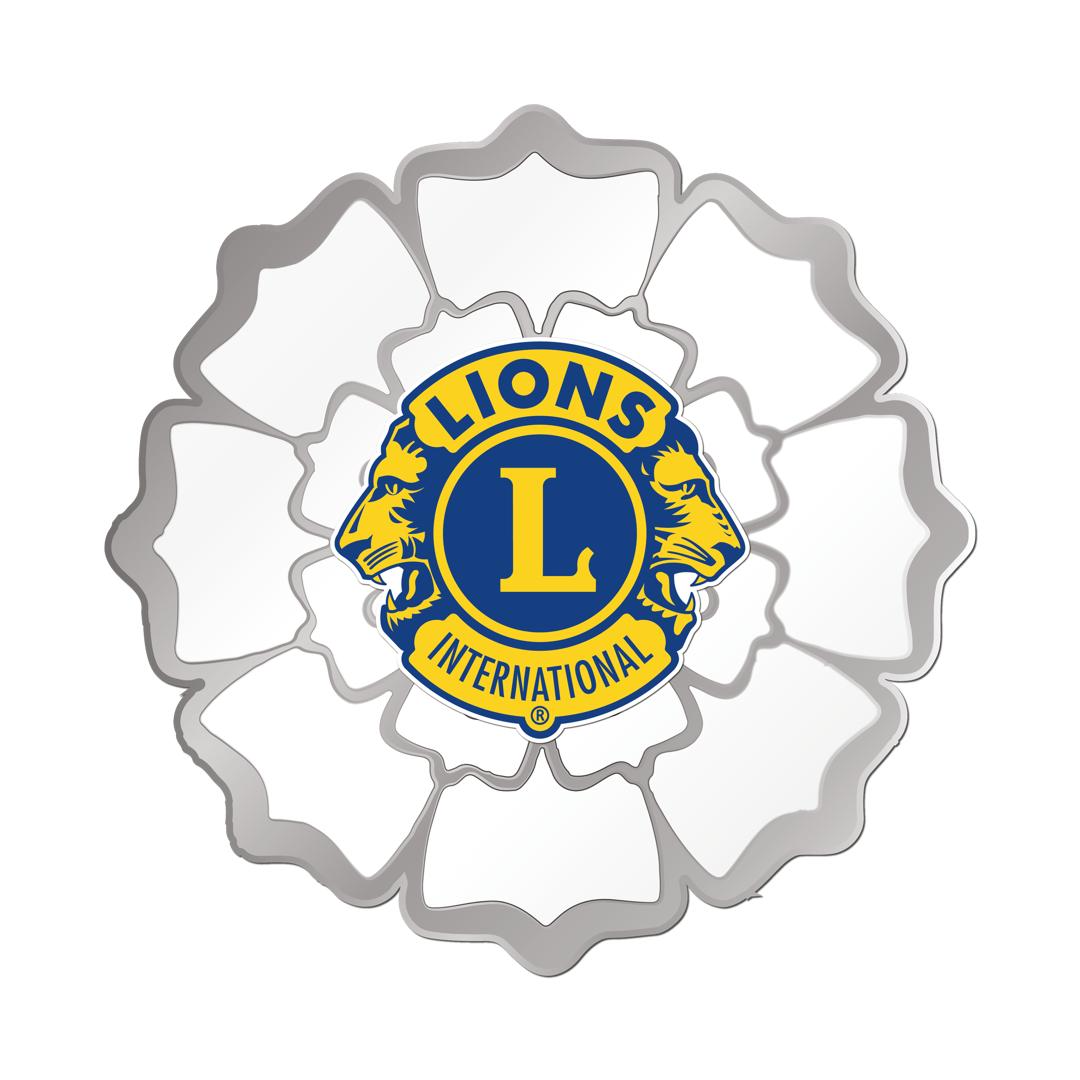 District Governor logo