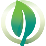 Lions International Environment service icon